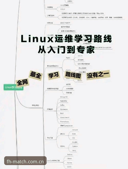 fh凤凰体育平台详解：从入门到精通的完整指南